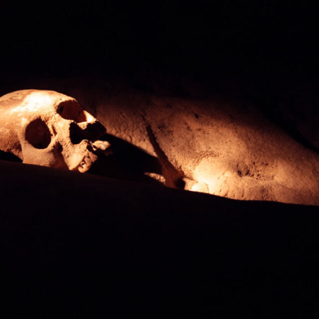Череп на 400 000 години хвърля светлина върху произхода на неандерталците