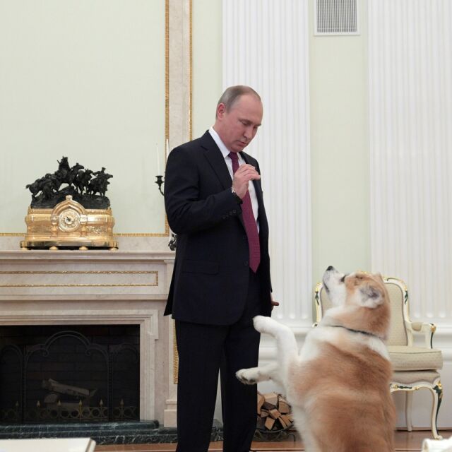  Владимир Путин стресна японски журналисти с... японско куче