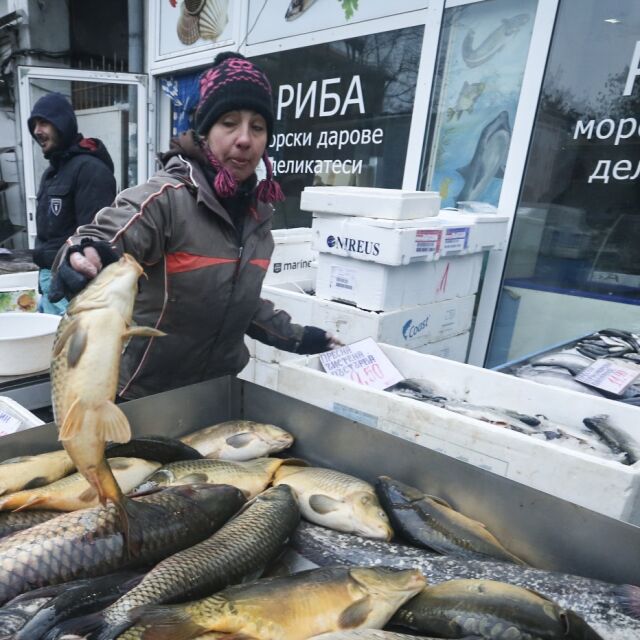Треска за Никулден: Пътят на рибата от морето до пазара