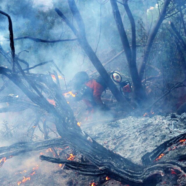 Извънредно положение в Калифорния заради пожарите
