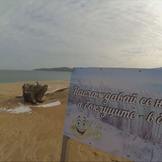 Доброволци чистят плаж Аркутино