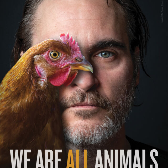 Хоакин Финикс стана Личност на годината на PETA