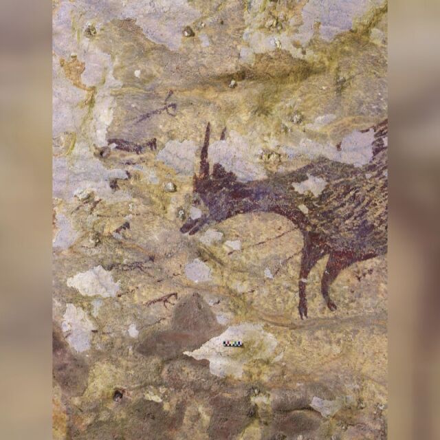 Намериха скална рисунка на 44 хил. години в Индонезия