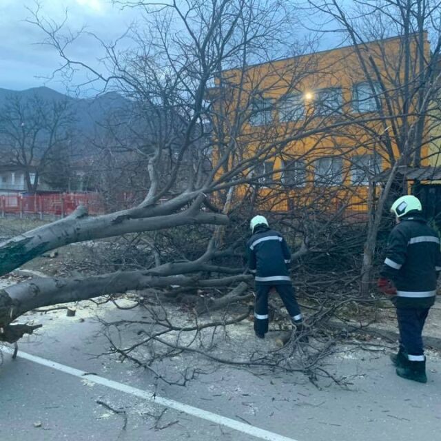 Бурен вятър във Враца нанесе щети на сгради и по улици 
