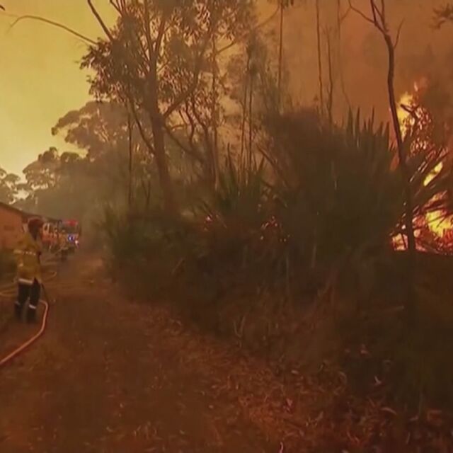 Жертвите на пожарите в Австралия са вече над 10