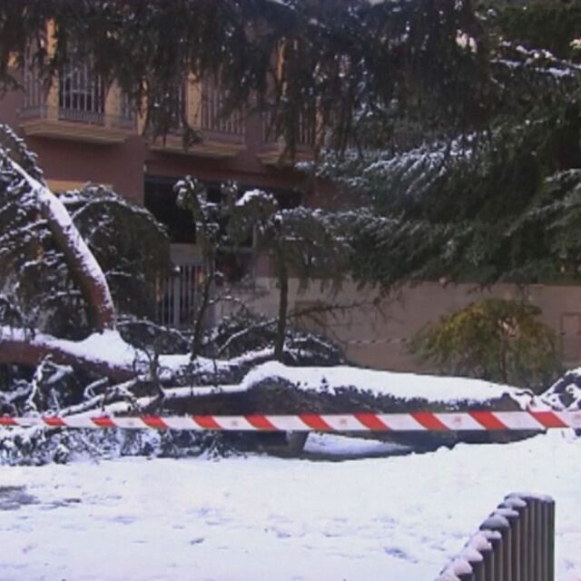 Снежни бури удариха Испания и Италия