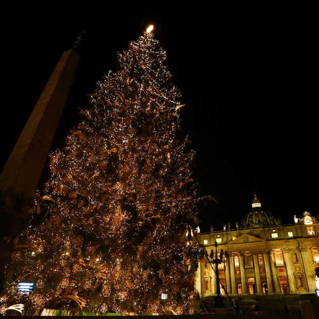 За Рождество във Ватикана: Коледното дръвче на площад "Свети Петър" грейна