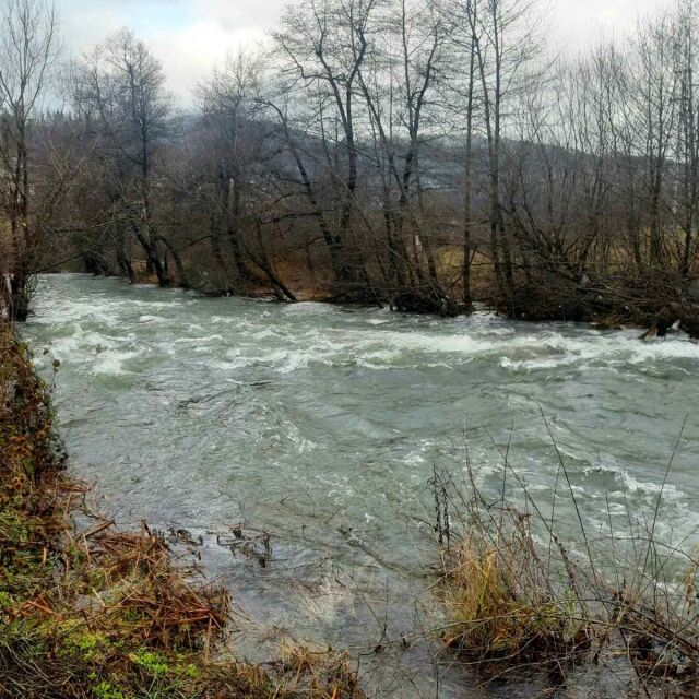 Реките Чeпинска и Елховска повишиха нивата си заради обилните валежи