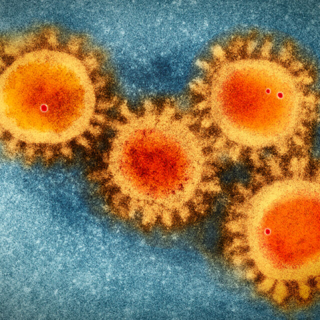 Новият щам на коронавируса: Какво знаем до момента?