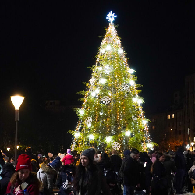 13-метрово коледно дърво засия пред НДК в София