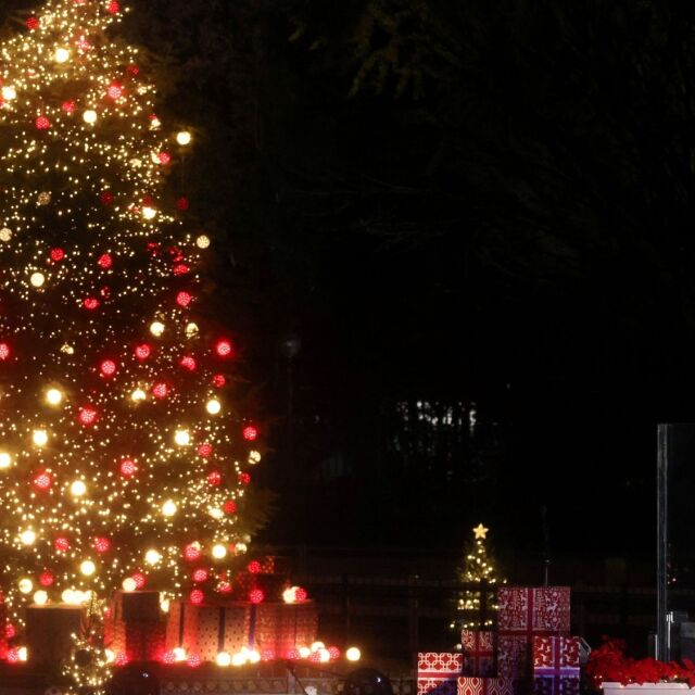 Джо Байдън запали светлините на коледната елха пред Белия дом (ВИДЕО)