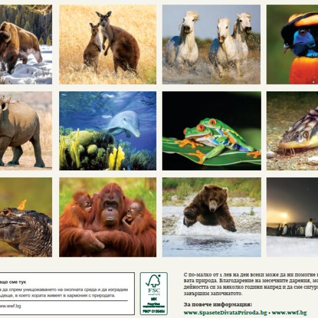 Тази Коледа стани закрилник на дивите животни с календара на WWF България за 2022 г.