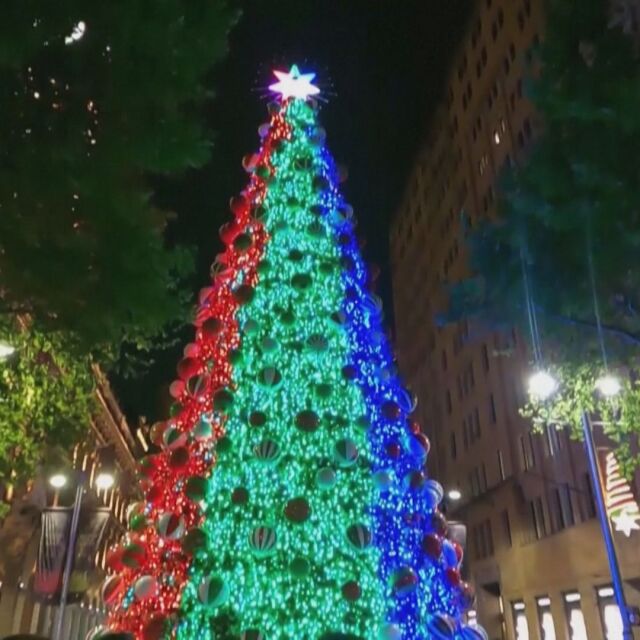 Над 100 хиляди лампички на коледното дърво в Сидни