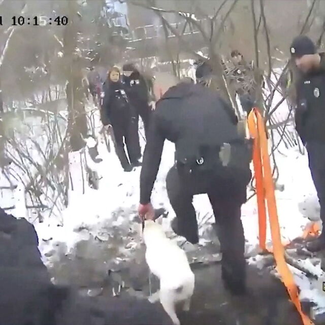 Украински полицаи спасиха жена и куче от удавяне в ледено езеро (ВИДЕО)