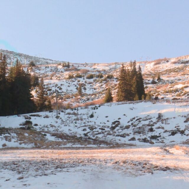 Без сняг през декември: Какви са условията за ски на Витоша?