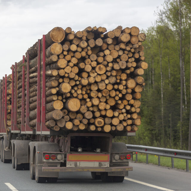 Двоен ръст на доставките на дърва в Югозападна България