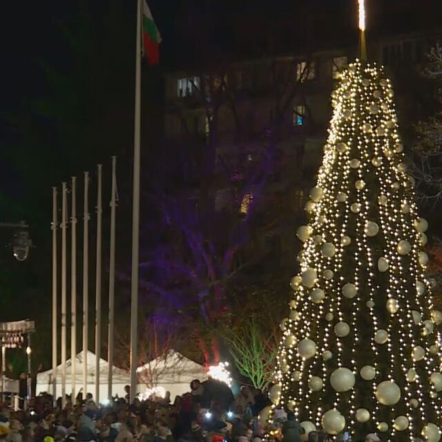 В София настроението официално е празнично: Грейна елхата на столицата 