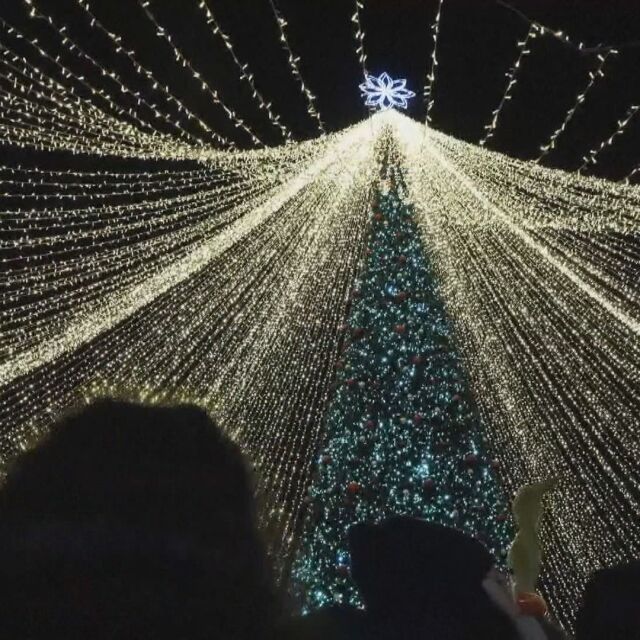 Един милион лампички осветиха централния площад в Тимишоара (ВИДЕО)