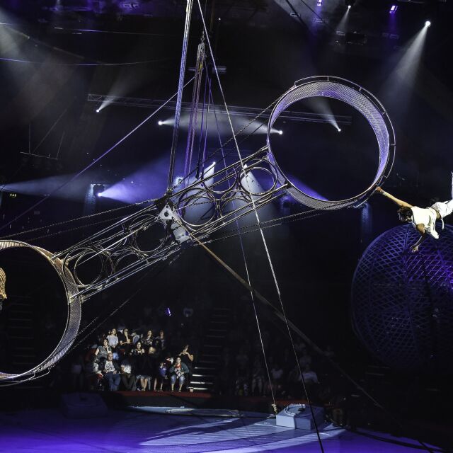 Акробат падна от "Колелото на смъртта" по време на шоу на цирк "Хиподрума"