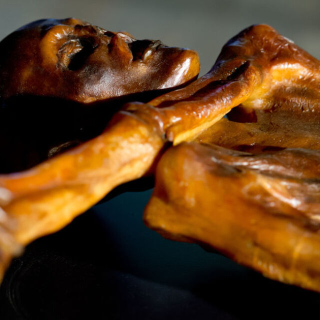  6 исторически загадки, които учените най-сетне разгадаха през 2023 година - и една, която не съумяха 