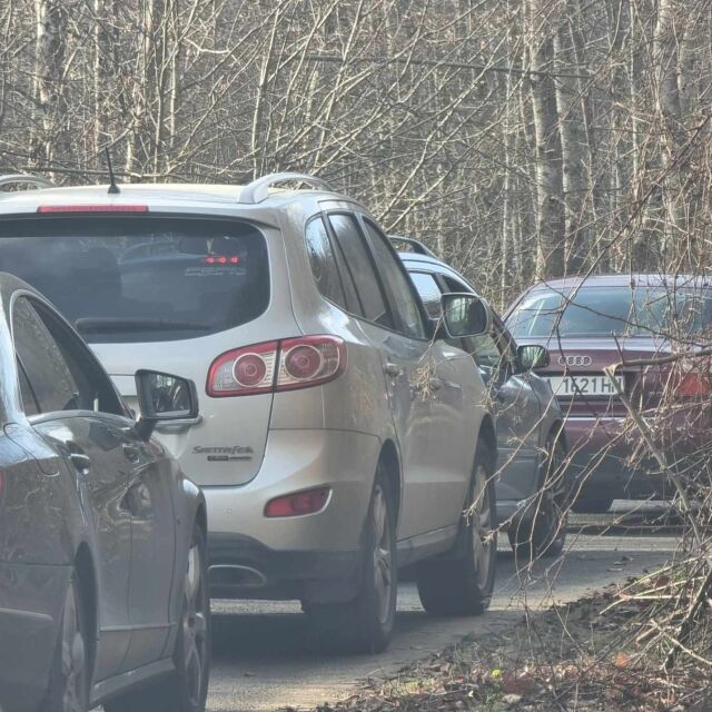 Километрична опашка от коли на българо-турската граница при ГКПП "Малко Търново"