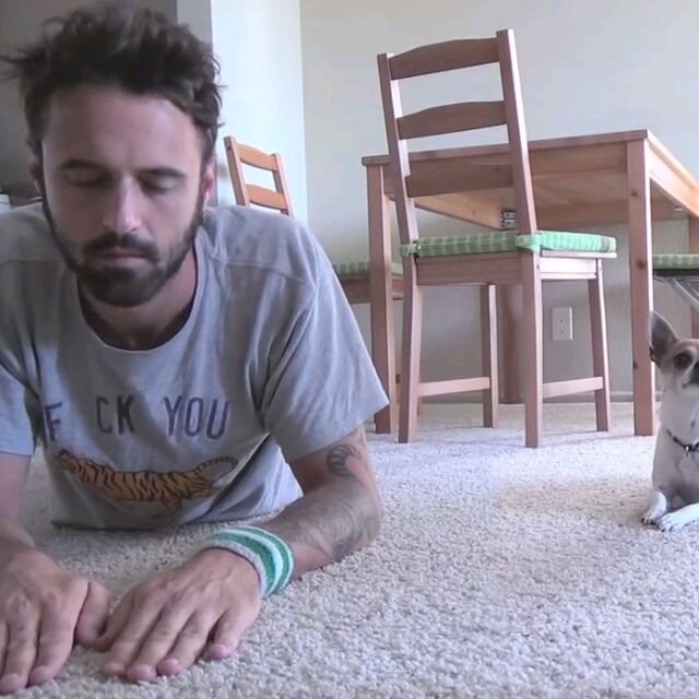 Кучето Панчо, което ще ви научи как се прави йога
