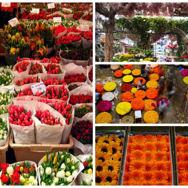Най-големите пазари за цветя по света