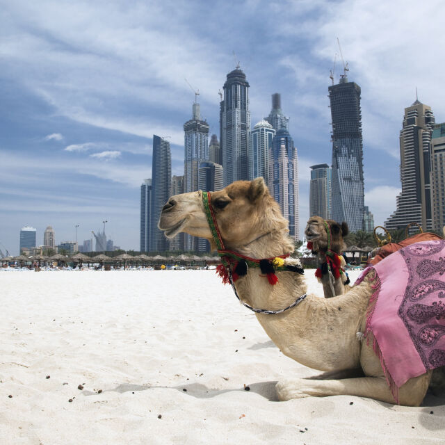 Вили и апартаменти са сред топ желаните имоти за инвестиции в Дубай