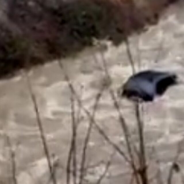 Джип падна в придошлата река Девинска (ВИДЕО)