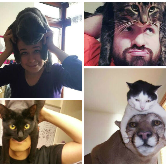 Котка като шапка: новата сензация в интернет (СНИМКИ)