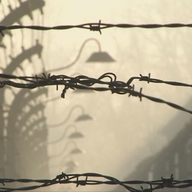 Полша със закон отрече народът й да има общо с Холокоста