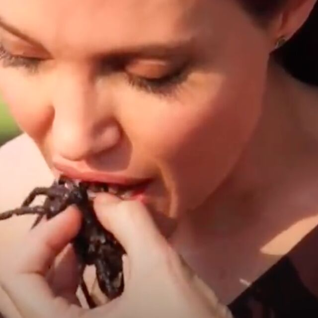 Анджелина Джоли яде пържена тарантула 