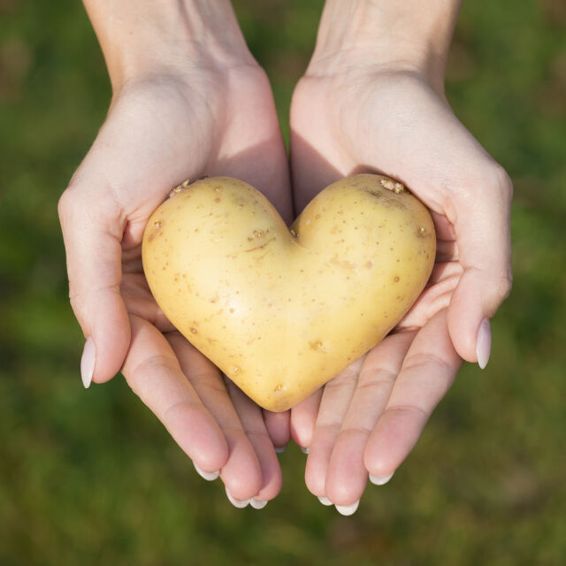 Картофите понижават риска от сърдечен удар и деменция