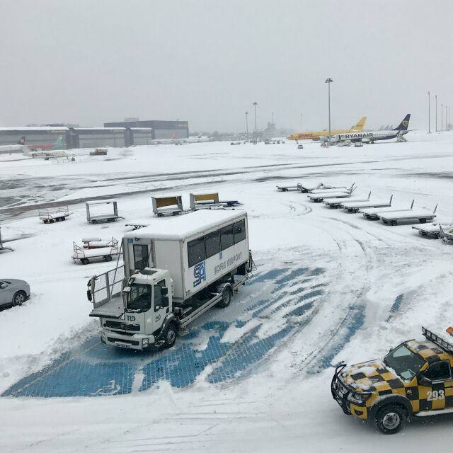 Летище София работи при зимни условия, има анулирани полети (СНИМКИ)