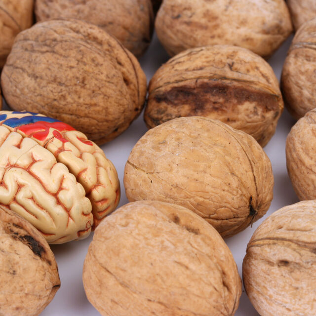 5 храни, които усилват способностите на мозъка