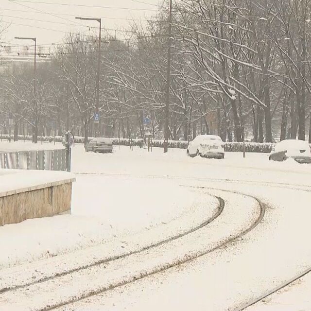 Заради снеговалежа в София: Скъсени са маршрутите на автобусите към Витоша