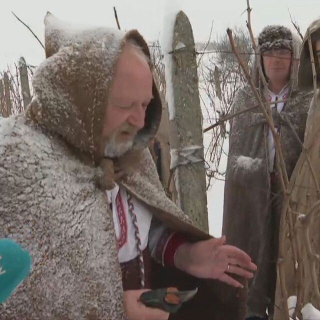 На Трифон Зарезан: В димитровградското село Голямо Асеново зарязаха лозите въпреки снега