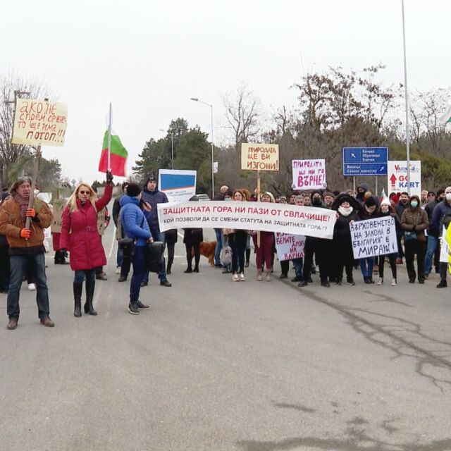 Втори протест против изсичането на борова гора във Варна