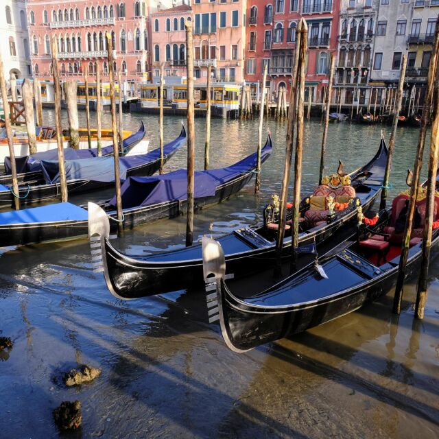 Каналите на Венеция почти пресъхнаха