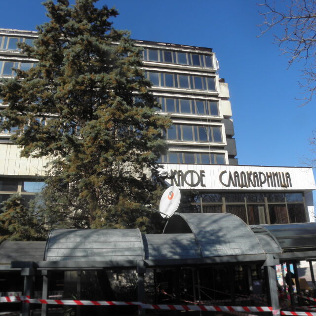 Дърво падна върху покрива на кафене в Благоевград