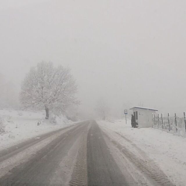 Затруднен трафик в Кърджалийско заради обилния снеговалеж