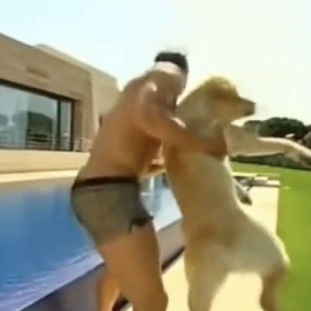 Искат наказание за Роналдо, хвърлил кучето си в басейна (ВИДЕО)