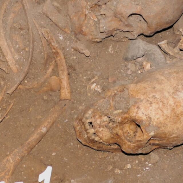 Кой открадна череп на 2000 години от разкопки в Стара Загора?