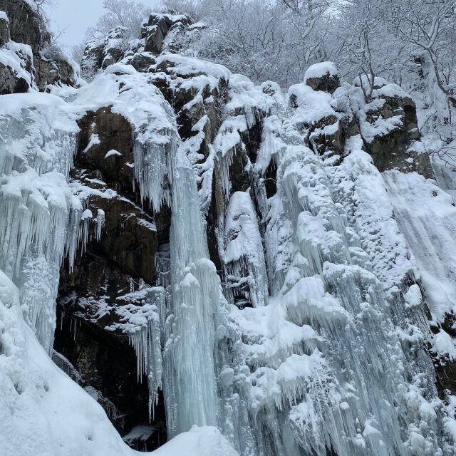 Красотата на леда: Боянският водопад замръзва всяка година (ВИДЕО)