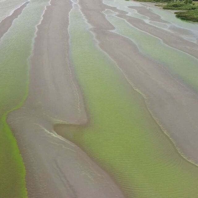 Река стана зелена: Препоръчва се водата да не се докосва (ВИДЕО)