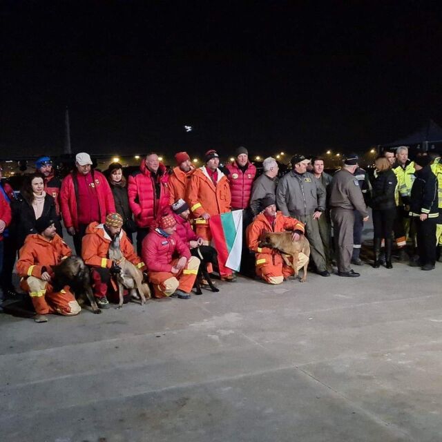  Спасителите вкъщи: Кучетата Норд, Нико и Хера и техните водачи откриха живи под отломките 