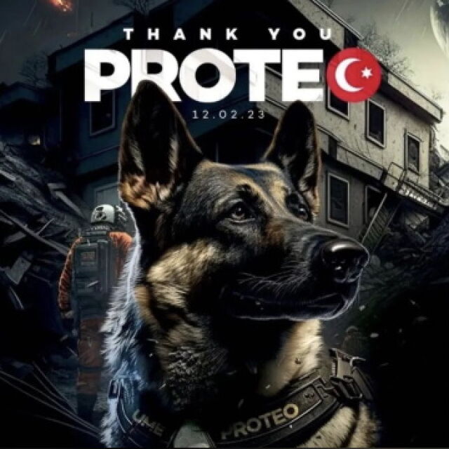 Смъртта на герой: Куче спасител загина при опит да спаси хора от отломките в Турция (СНИМКИ и ВИДЕО)