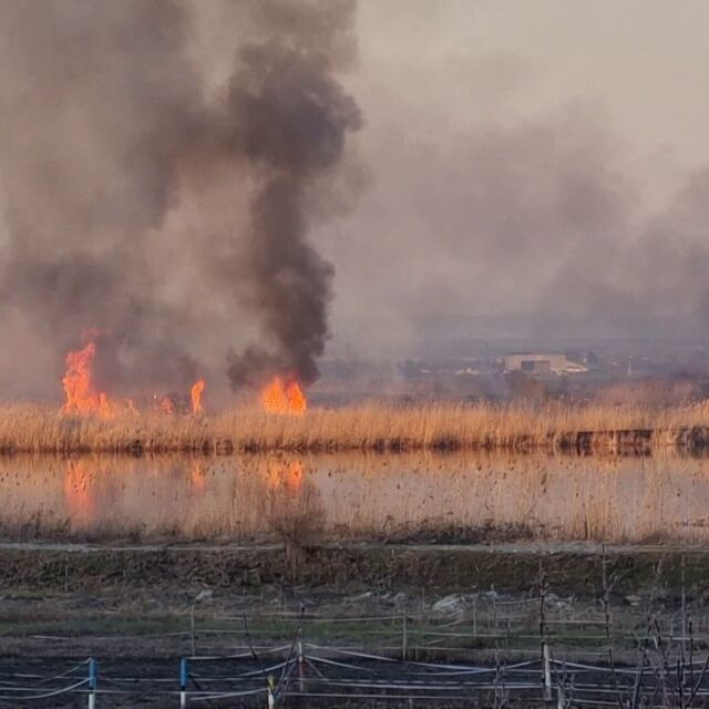 Пожар гори в района на езеро в Бургас