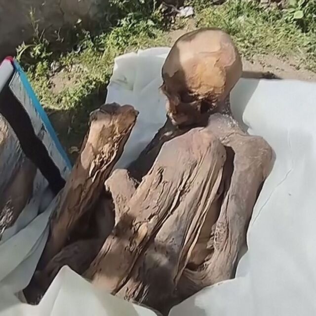 "Тя спи в спалнята с мен": Откриха мумия в хладилна чанта (ВИДЕО)