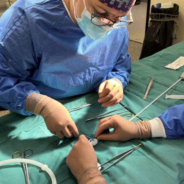 След 10-часова сложна операция: Съдови хирурзи спасиха 81-годишна жена (СНИМКИ)